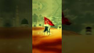 HAZRAT IMAM HUSSAIN KARBALA NANA KA NAW imamhusain​ karbala​ shorts​ mola​ islamic​trend​ [upl. by Fry]