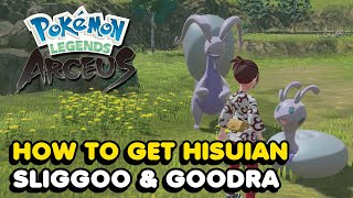 How To Get Hisuian Sliggoo amp Hisuian Goodra In Pokemon Legends Arceus [upl. by Yelkreb]