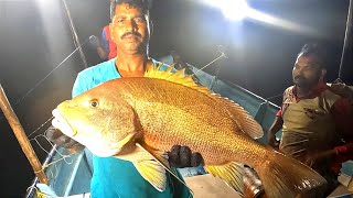 Catching Mangrove Jack Blubber lip Fish amp Marine Cat Fish in Deep Sea [upl. by Winters396]