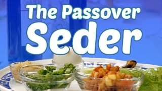 The Passover Seder What to Expect [upl. by Nadual16]