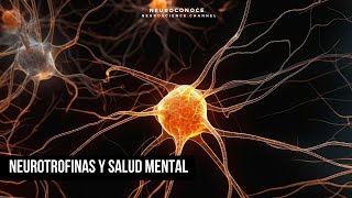 Neurotrofinas en la Salud Mental Claves para el Bienestar Emocional [upl. by Checani]