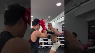 Boxer goes toetotoe with UFC champ Alex Pereira during a South Korea gym session 😳 Boxing MMA [upl. by Gabbert398]