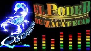 El poder de zacatecaspolkas chingonas [upl. by Aicila]