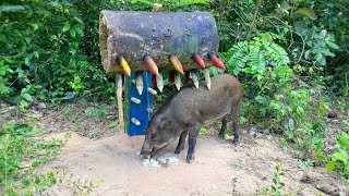 Amazing Quick Powerful Wild Pig Trap Make By Brown wood shortvideo wildboar [upl. by Hpotsirhc]