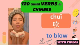 120 Chinese Action Verbs  Daily Life Chinese You Must Know [upl. by Alesiram884]