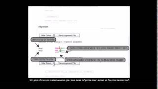 ClustalW tutorial Final [upl. by Essej]