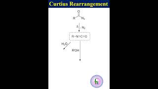 Curtius rearrangement youtube science ytshorts [upl. by Nnov]