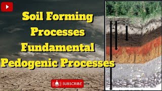 Soil Forming processPedogenic processes  Fundamentals pedogenic processessoilscience agriculture [upl. by Kcirdlek]