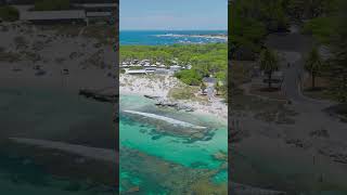 Discovering Paradise Exploring the Hidden Gems of Rottnest Island [upl. by Ytram]