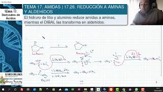 TEMA 17 AMIDAS  1728 REDUCCIÓN A AMINAS Y ALDEHÍDOS [upl. by Rintoul551]