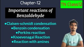 Important reactions of BenzaldehydeChapter12ChemistryTN Class12 [upl. by Nelag]