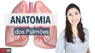 Sistema Respiratório 46 Anatomia dos Pulmões  Anatomia e etc [upl. by Dnalram]