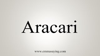 How To Say Aracari [upl. by Ralfston]