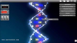 Interactive 3D DNA [upl. by Wilton]