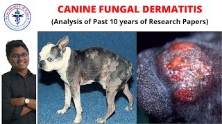 Fungal Dermatitis  Canine Diseases  Lecture 03 [upl. by Lalla974]