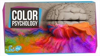 Does Color Really Affect How You Act [upl. by Deane]