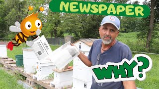 How To Combine A week Hive With Newspaper  Aug 2020 [upl. by Gracia702]