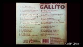 Los Rojos Del Municipal  Marimba Orquesta Gallito Álbum Homenaje A Mardoqueo Girón 2001 [upl. by Aidul]