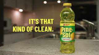 How to Clean Stainless Steel with PineSol [upl. by Eustache]