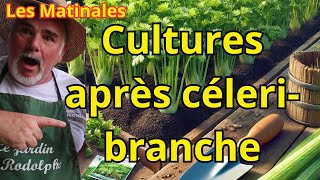 Quelles cultures choisir  Optimisez votre potager après le céleribranche [upl. by Darius755]