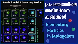 പ്രപഞ്ചത്തിലെ അടിസ്ഥാനകണങ്ങൾ  Elementary Particles Explained in Malayalam  Standard Model [upl. by Scrivenor]