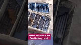 How to restore old and Dead battery repair solar car battery repair shorts viralvideo [upl. by Animor128]