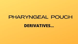 PHARYNGEAL POUCH DERIVATIVES revise [upl. by Hicks]