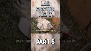 Lab Grown Meat part 5 shorts [upl. by Leler526]