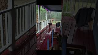 Tornado Warning In Chiefland Florida as seen from the porchJAN092024 [upl. by Mcmullan]