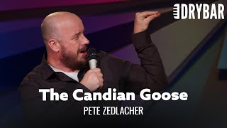 American Eagle Vs Canadian Goose Pete Zedlacher [upl. by Drona22]