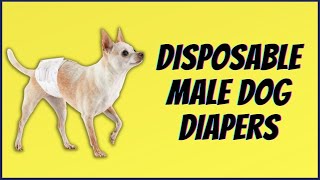 Best Disposable Male Dog Diapers Affordable amp Suitable For All Dogs [upl. by Akers453]