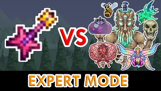 Terraria 14  Stellar Tune vs ALL Bosses Expert Mode [upl. by Haeli]