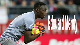 Edouard Mendy  the best saves [upl. by Ettecul629]