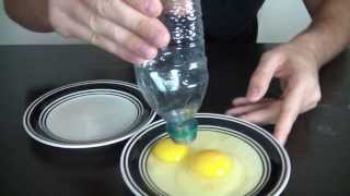 10 Amazing Science Experiments you can do with Eggs [upl. by Chang886]