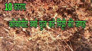 25010 reasons to use cocopeat in place of soil benefits uses of cocopeat Hindi Urdu [upl. by Delcine]