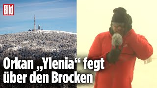 „Ylenia“ – extremer Orkan von 140 Kmh auf dem Brocken  Unwetter in Deutschland [upl. by Rriocard]