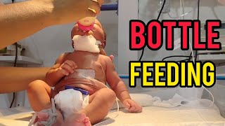 How To Feed Newborn Baby  Bottle Feeding  Newborn Feeding Procedure  NICU viralvideo youtube [upl. by Delastre509]