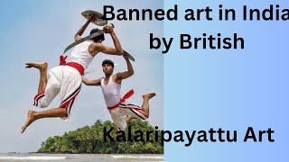 Kalaripayattu Martial Arts support this art before it vanishes [upl. by Aneeras702]