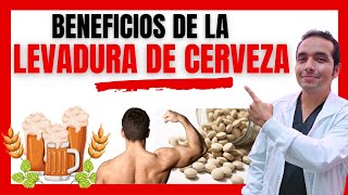 🔴BENEFICIOS DE LA LEVADURA DE CERVEZA 🍻 The REAL Benefit of Nutritional Yeast is [upl. by Allemahs]