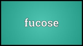 Fucose Meaning [upl. by Johnath]