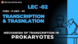 Mechanism of transcription in Prokaryotes  lec  02 [upl. by Morril111]