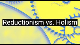 Reductionism vs Holism Battle of Philosophical Methodologies [upl. by Yssenhguahs]