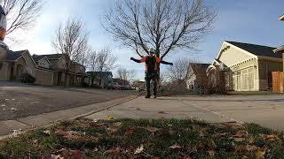 Young Ash Tree Time Lapse [upl. by Stasny837]