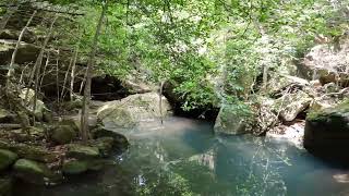 Canoe creek track Wollemi national park [upl. by Arrad]