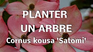 Comment planter un arbre [upl. by Virgel]