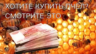 ХОТИТЕ КУПИТЬ ПЧЁЛ СМОТРИТЕ ЭТО [upl. by Branscum]