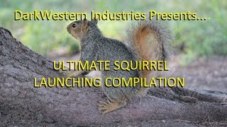 Ultimate Squirrel Launching Compilation [upl. by Aicat725]