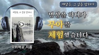 누가 무아를 체험한다는 말인가 오디오 북 명상 깨달음 [upl. by Tudela]