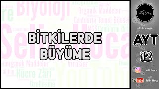 42 Fotosentez  Canlılarda Enerji Dönüşümleri  12 Sınıf Biyoloji  2024 AYT Biyoloji 42 Gün [upl. by Malim]