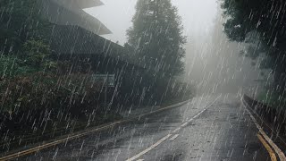 Maravilloso Sonido de Lluvia para Dormir Relajante Estudio Meditación  Lluvia en Bosque Brumoso [upl. by Jenna]